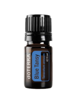 Blue Tansy (Blauer Rainfarn) Tanacetum annuum   5ml. Flasche